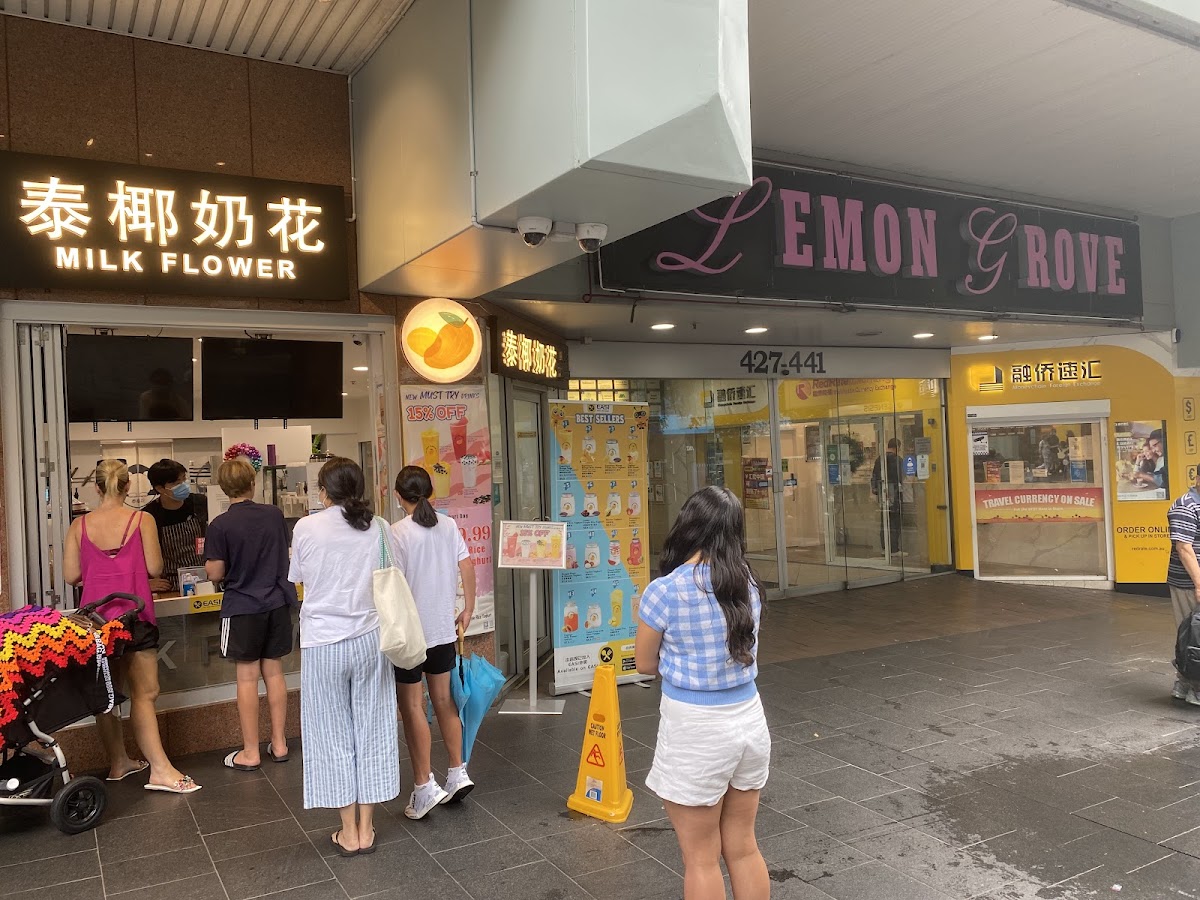 Milk Flower Chatswood Store - 泰椰奶花 Chatswood 店